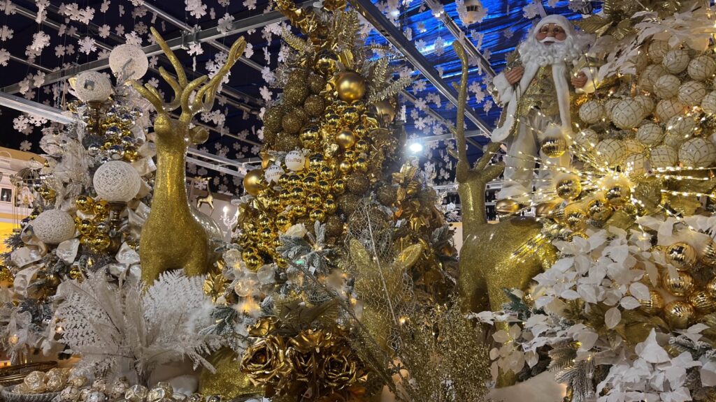 Il blog di Natale  Christmas World by AgriBrianza